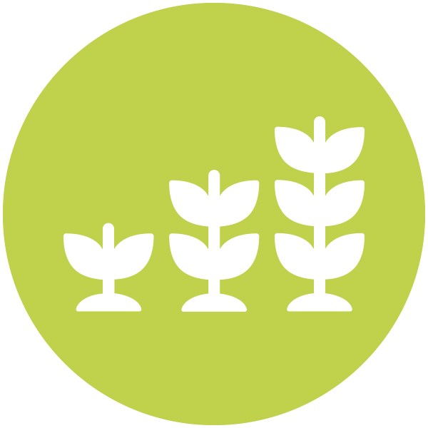 Ikon med en grön cirkulär bakgrund och en vit växt med 2 blad, en med 4 blad och en med 6 blad